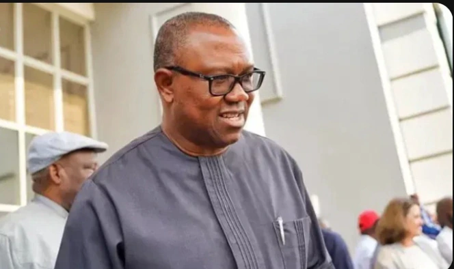 There’s Nothing In LP Without Peter Obi, And I Don’t Think He’ll Be There In 2027- Adewale Adeoye 1c082e6720de4c5d9a7a53dc2d9c005b.webp